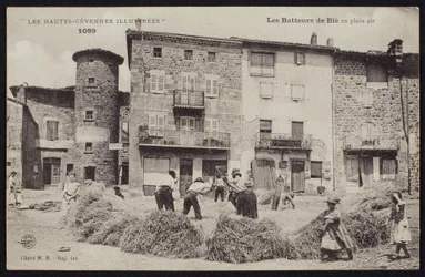 Postkarte, die die Kornschwader in den Cevennen, um 1900 darstellt